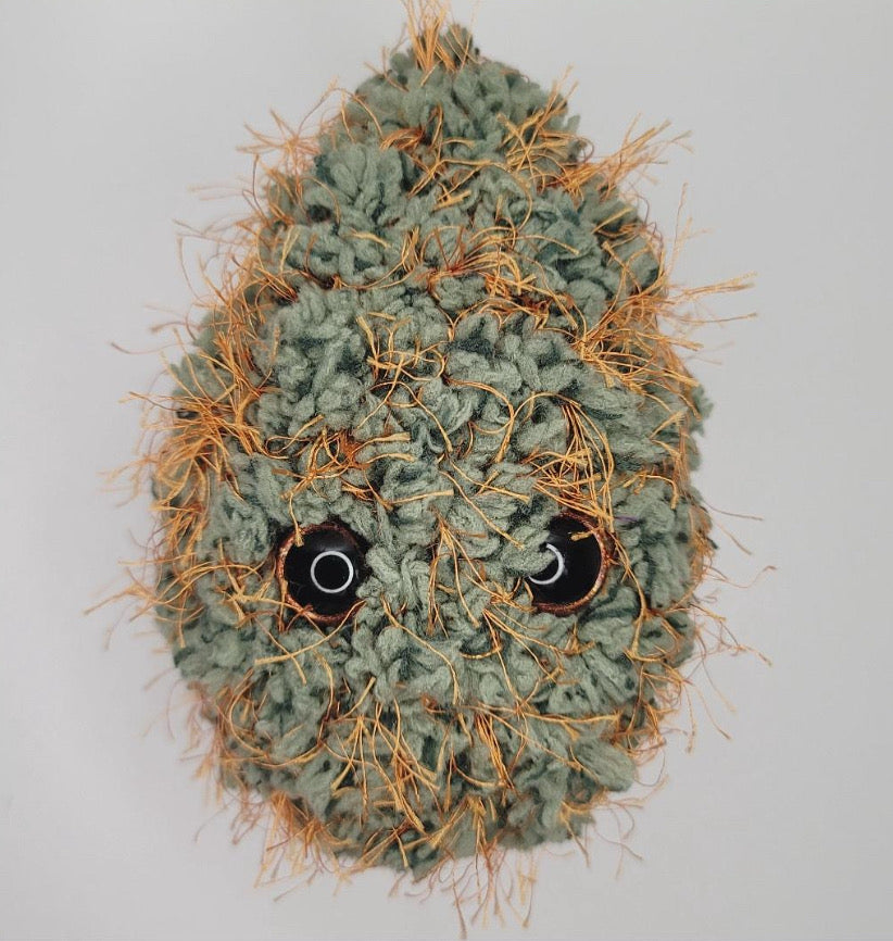 🧡Acapulco Gold 🧡